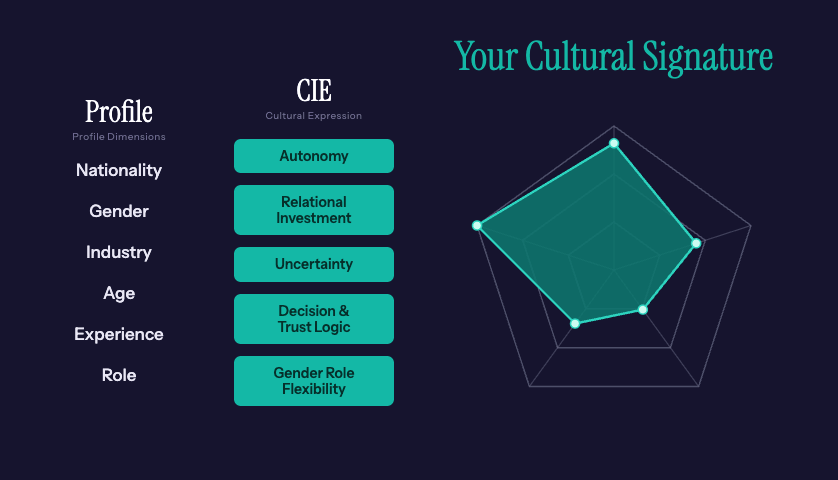 An example Cultural Signature, shown as a shape across its core cultural dimensions.